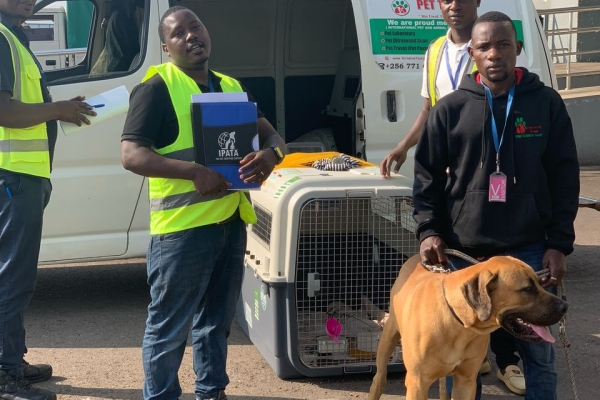 WhatsApp Image 2025-04-03 at 11.56.